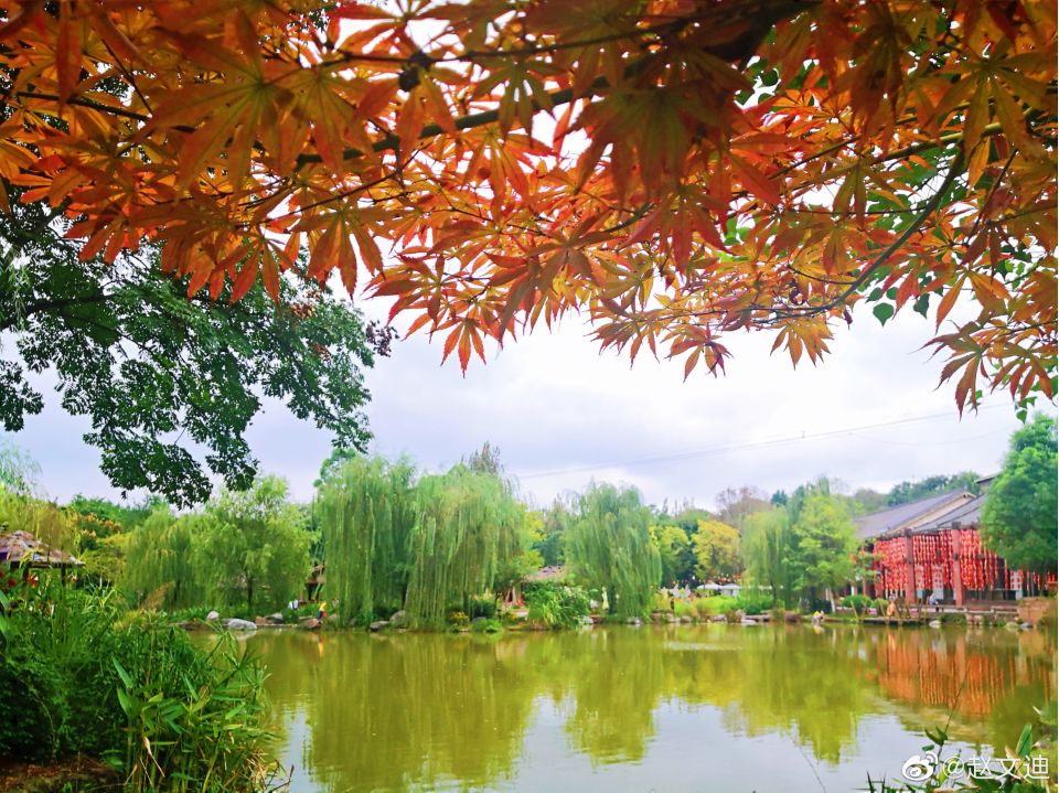 四川旅游浮云牧场1000块钱能玩,四川古村落旅游景点推荐