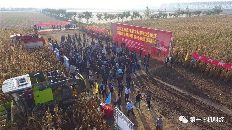 打通玉米籽粒机收最后一公里——2019年国家玉米良种重大科研联合攻关暨籽粒地*碎机破**收技术现场会走笔