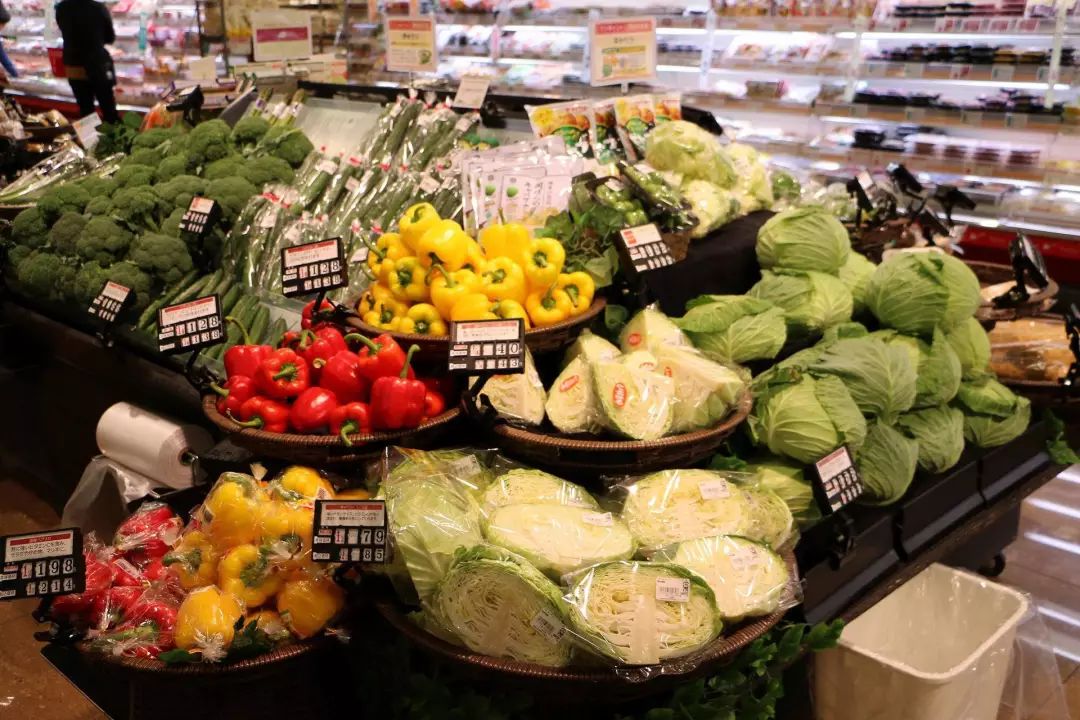 在东京生活一个日需多少钱,在东京生活真的很贵吗