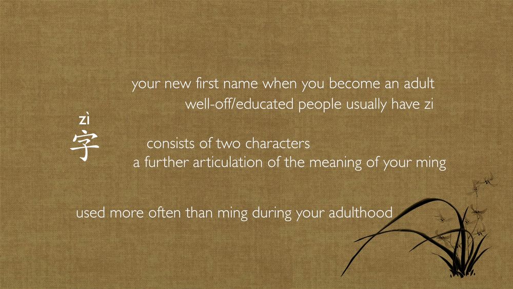 陈情令国外热度,陈情令火到国外的反应