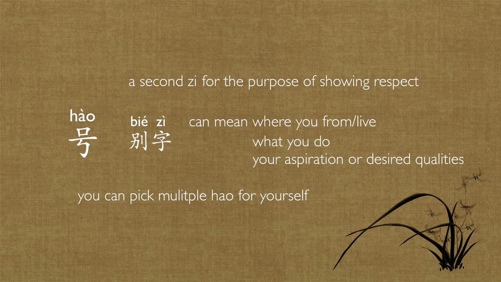 陈情令国外热度,陈情令火到国外的反应