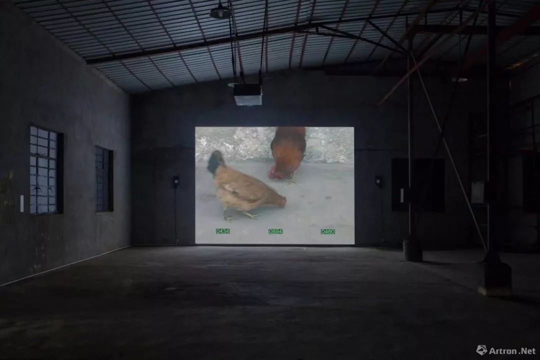 省钱有创意的网红打卡地,打卡网红地朋友圈