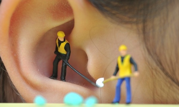 虫子钻到鼻子里怎么自救,虫子钻入耳朵怎么把它快速弄出来