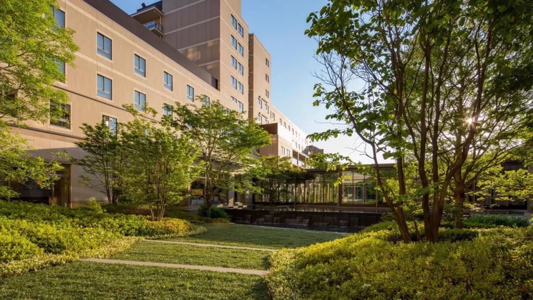 若能住进这样的“诗意仙境疗养院”也不枉你一辈子996