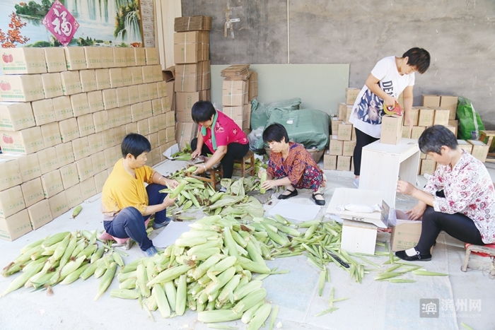 惠民：电商产业风生水起“惠民模式”受热捧