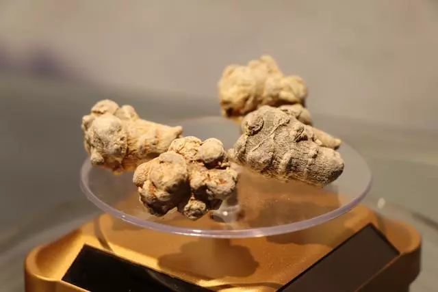 片仔癀珍珠膏臻润级40g (片仔癀珍珠膏新款旧款)