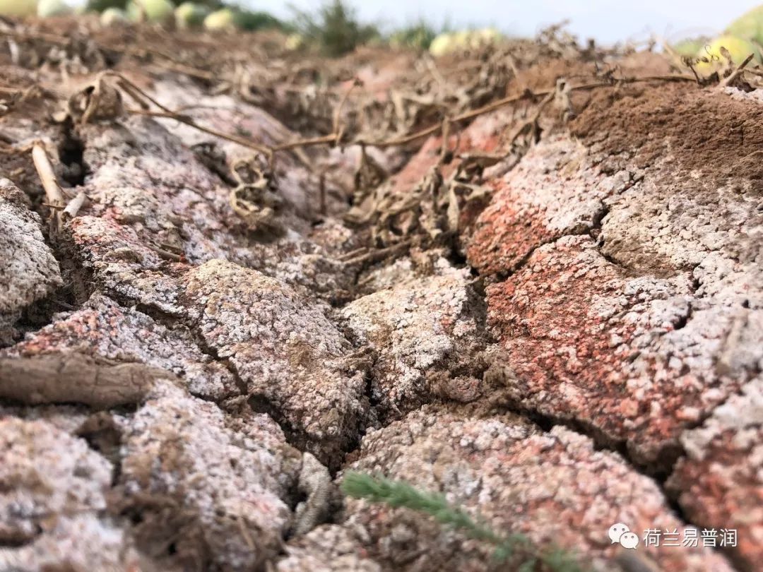 土壤盐碱化原因危害和措施,造成土壤酸碱性的原因