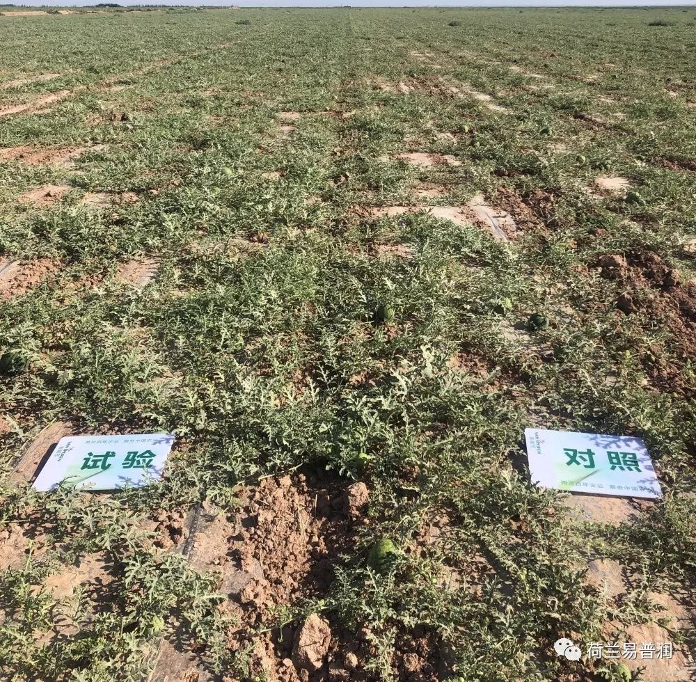 土壤盐碱化原因危害和措施,造成土壤酸碱性的原因