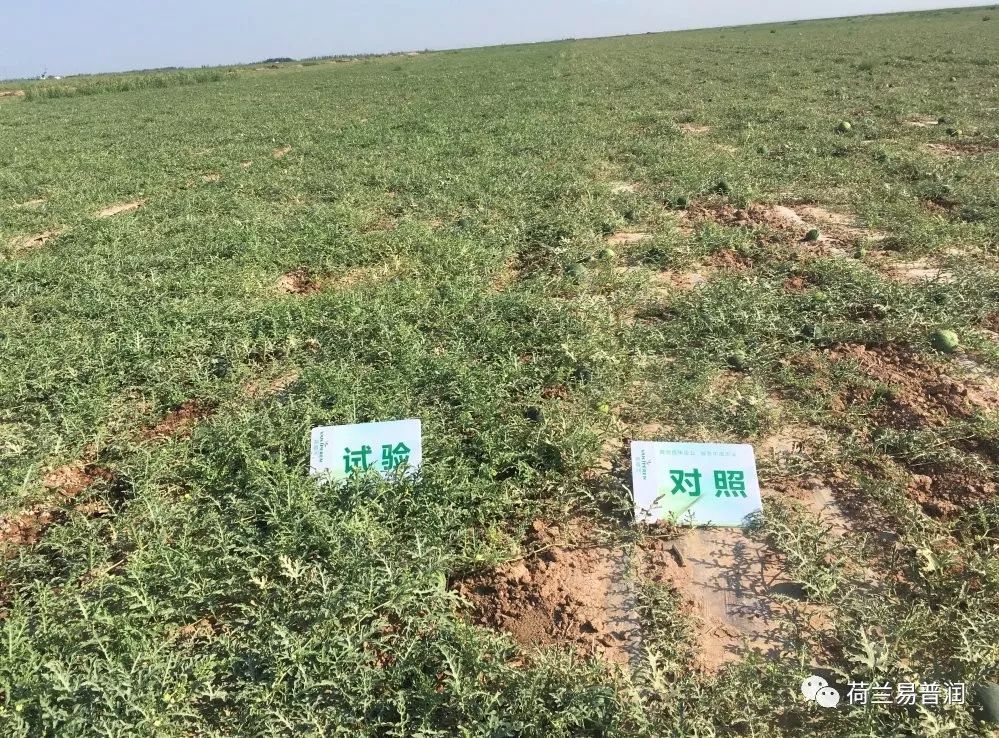 土壤盐碱化原因危害和措施,造成土壤酸碱性的原因