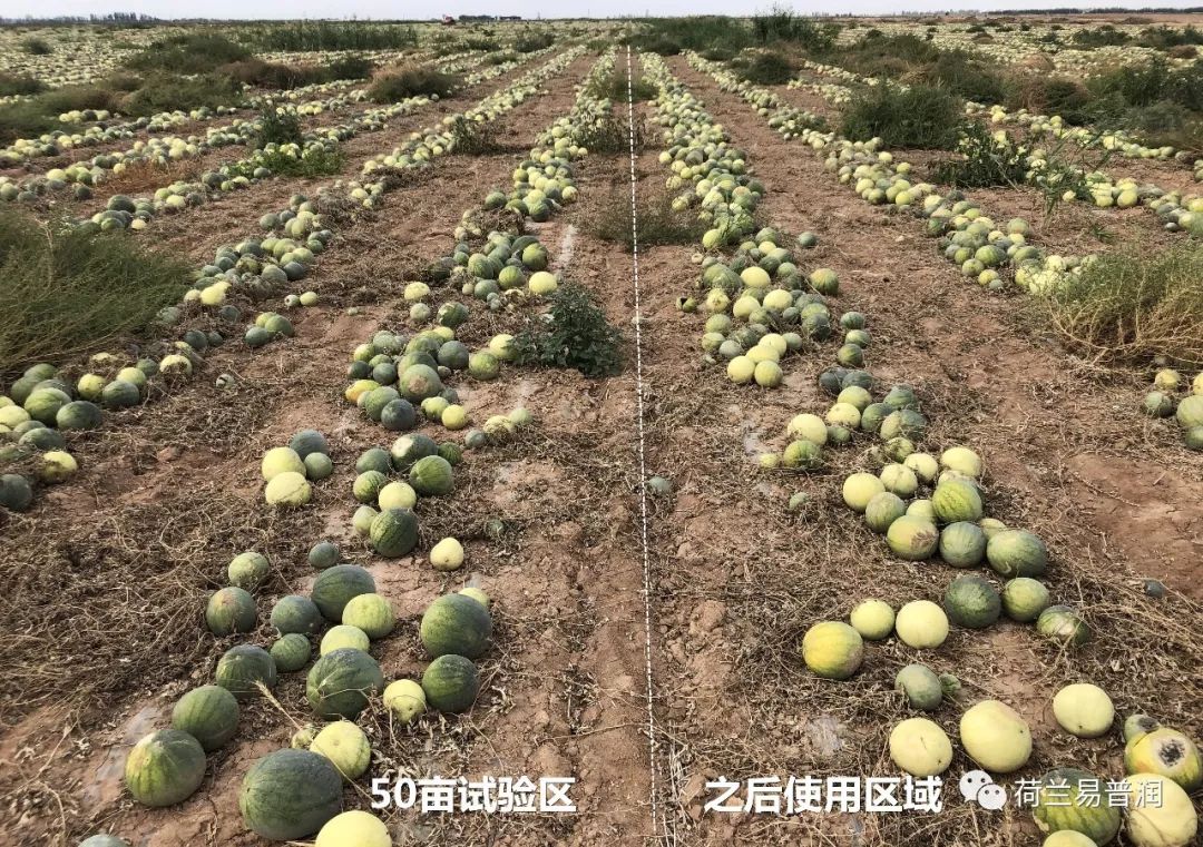 土壤盐碱化原因危害和措施,造成土壤酸碱性的原因