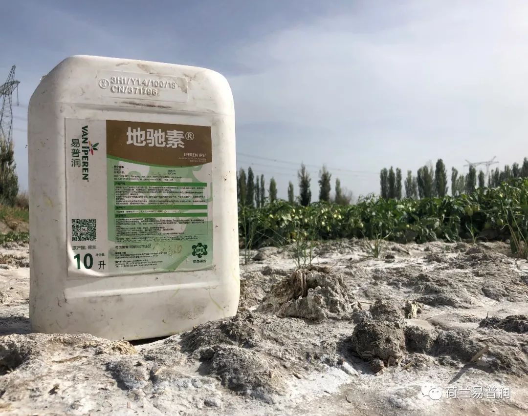 土壤盐碱化原因危害和措施,造成土壤酸碱性的原因