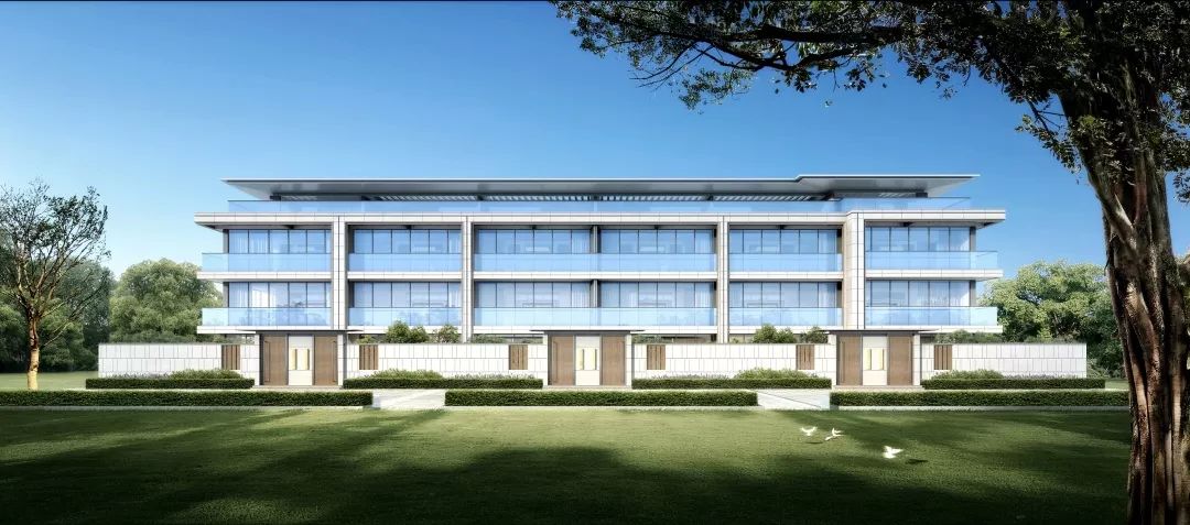 仅凭价格，就能成为德清双冠王吗？