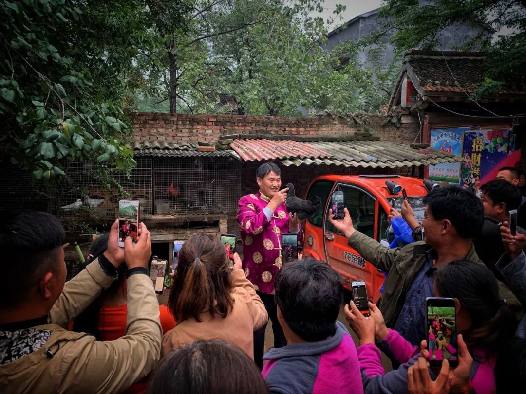 朱之文在露天舞台唱的歌,朱之文田间地头唱歌