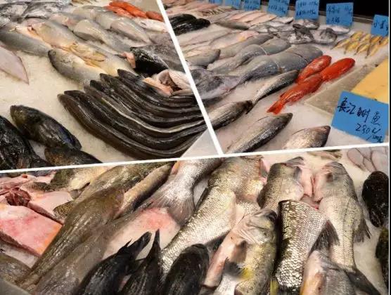 什么鲫鱼适合养殖,现在养大鲫鱼可以吗