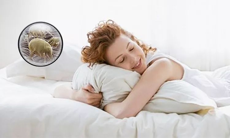 好用的去螨虫喷雾推荐,除螨喷雾排行第一名神器