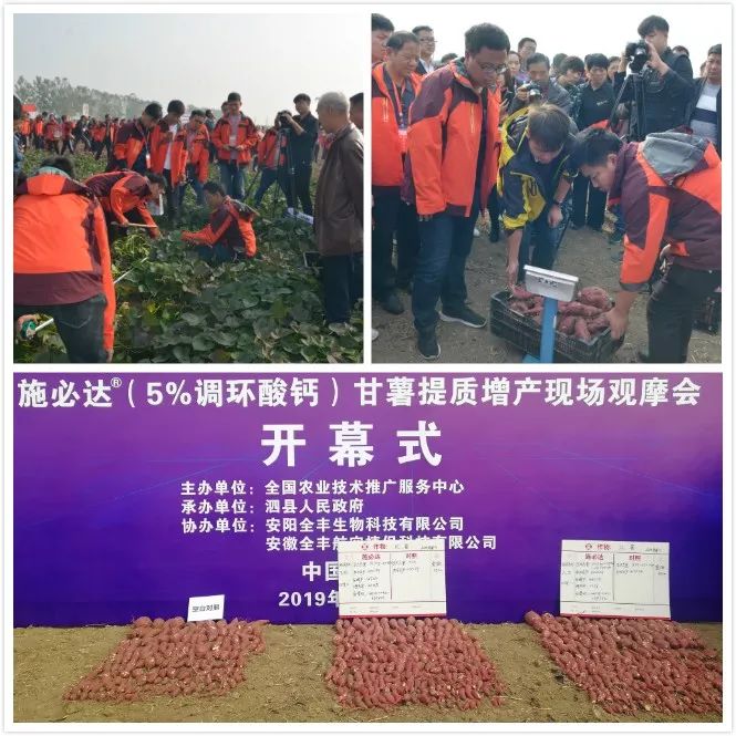 安阳全丰施必达产品,全丰施必达花生套餐