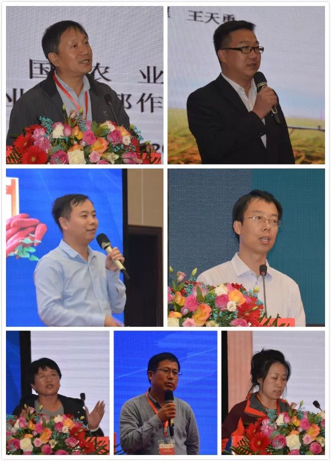 安阳全丰施必达产品,全丰施必达花生套餐