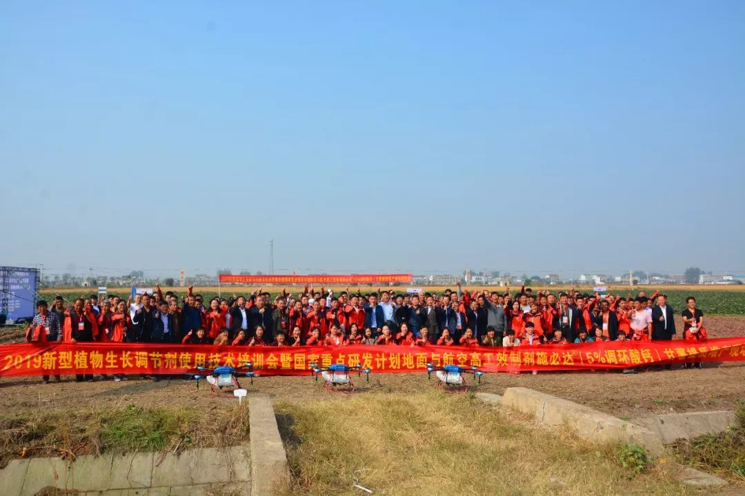 安阳全丰施必达产品,全丰施必达花生套餐