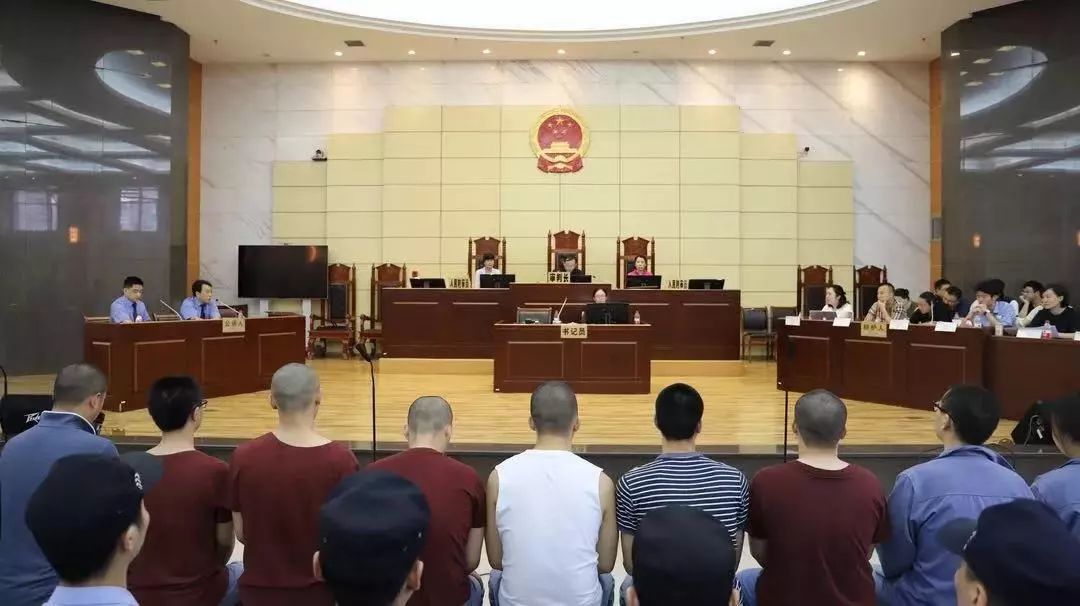 我看沙坪坝政法综治新成就④|突出重点分类施策全力净化治安环境——沙坪坝区纵深推进扫黑除恶专项斗争