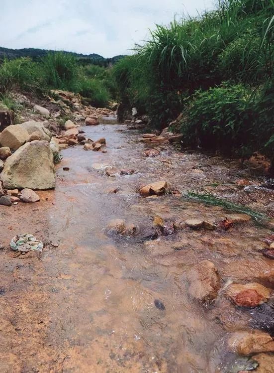 溥仪出宫带了多少珍宝,溥仪出宫时偷走一件宝贝