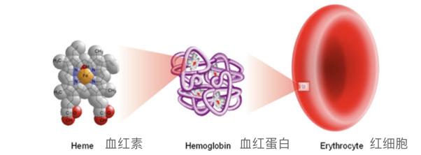 有没有人用眼霜黑眼圈更严重,黑眼圈用了眼霜过段时间就废了
