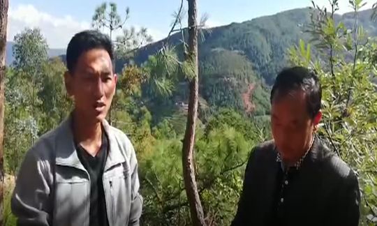 巨大的蜂巢视频,超级巨大蜂巢图片