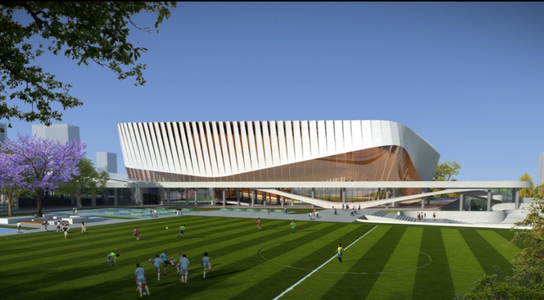 国内现有的7座专业足球场,7人制足球场最佳观赛位置和高度