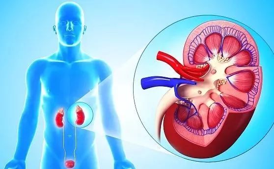 八个伤肾的习惯小心尿毒症,导致尿毒症的十大恶习