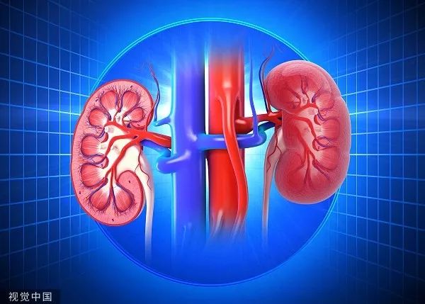 八个伤肾的习惯小心尿毒症,导致尿毒症的十大恶习