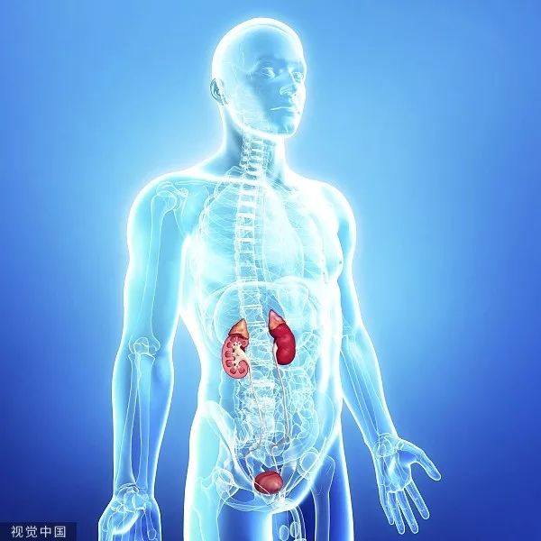 八个伤肾的习惯小心尿毒症,导致尿毒症的十大恶习