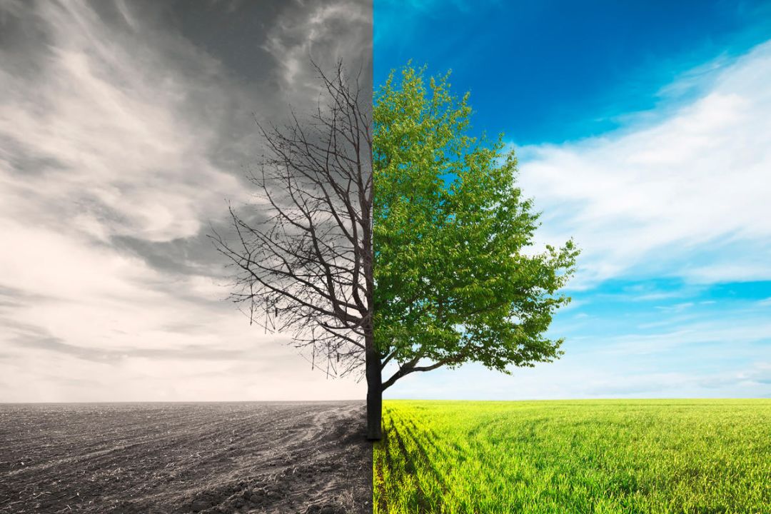 IaaB（IT即业务）已死，BusOps接续