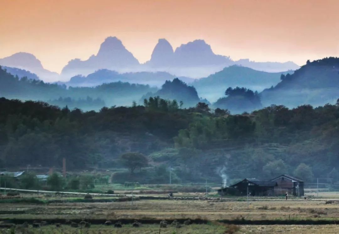 桂花开了到处弥漫着迷人的香味,桂花开了朗读