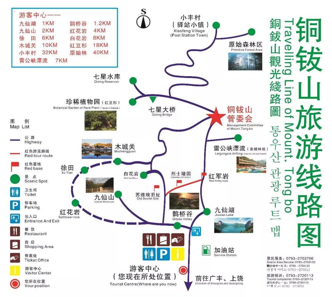 桂花开了到处弥漫着迷人的香味,桂花开了朗读