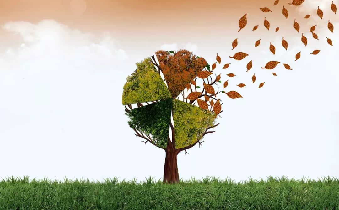 这6个正规医院隐藏项目，你一定都不知道