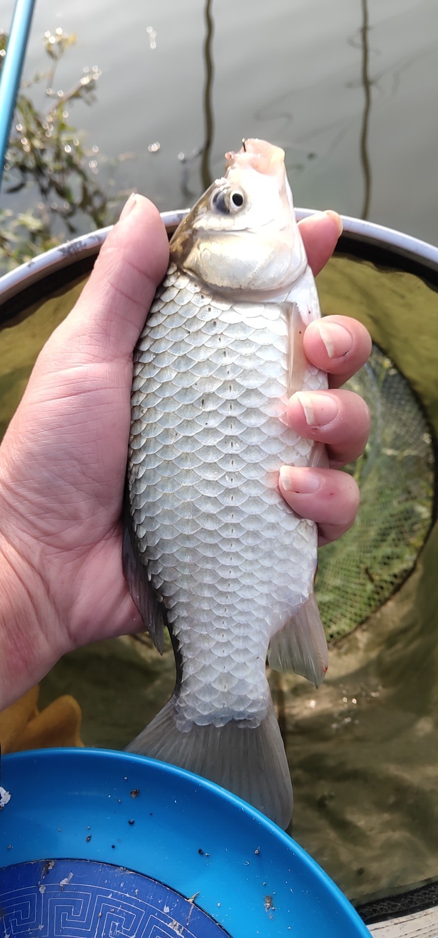 野钓窝点爆护,野钓哪个位置最容易有鱼