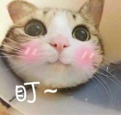 隔离霜属于彩妆还是护肤,隔离霜真的隔离辐射吗