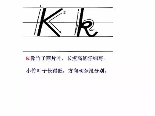 衡水体考题答题卡,衡水体答题卡效果图