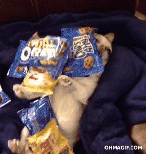 仪陇最值得去的地方,仪陇附近游玩推荐一日游