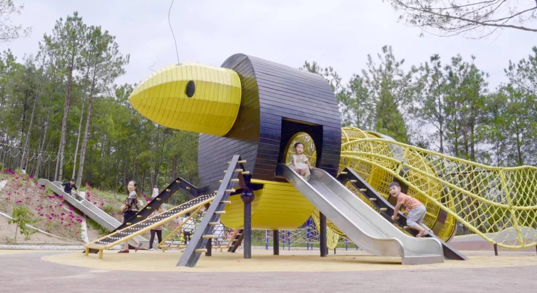 仪陇最值得去的地方,仪陇附近游玩推荐一日游