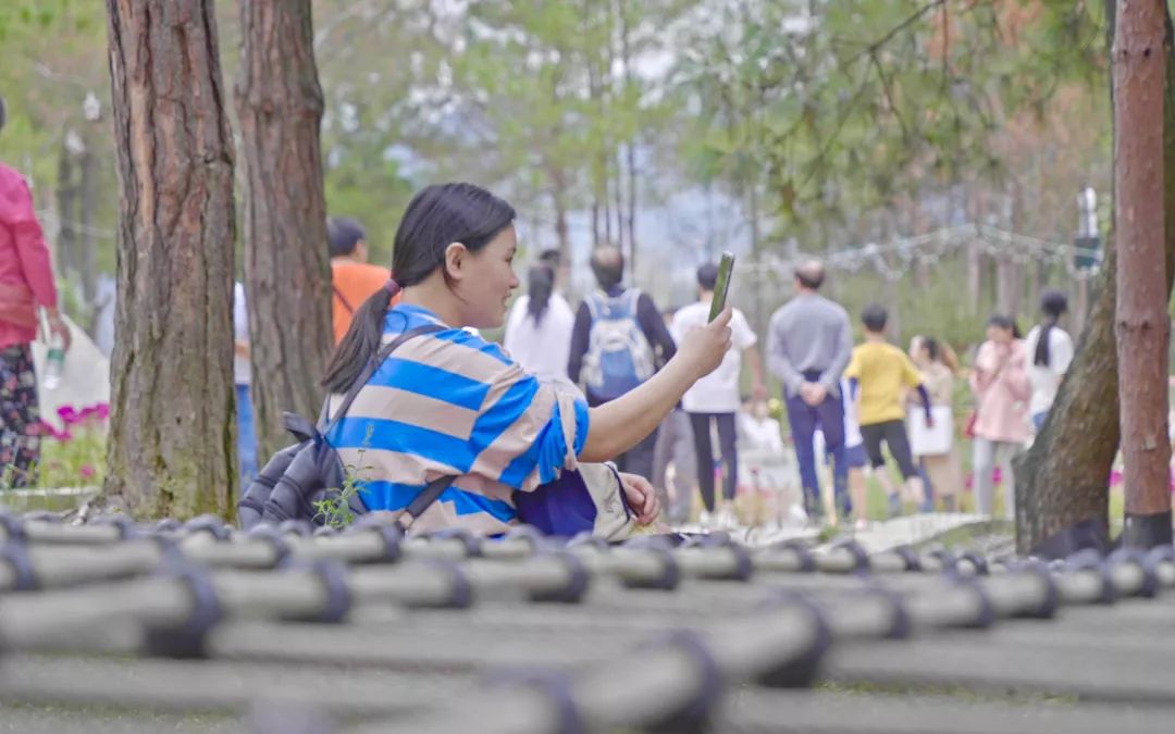 仪陇最值得去的地方,仪陇附近游玩推荐一日游