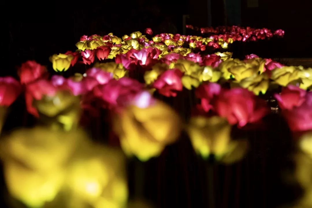 仪陇最值得去的地方,仪陇附近游玩推荐一日游