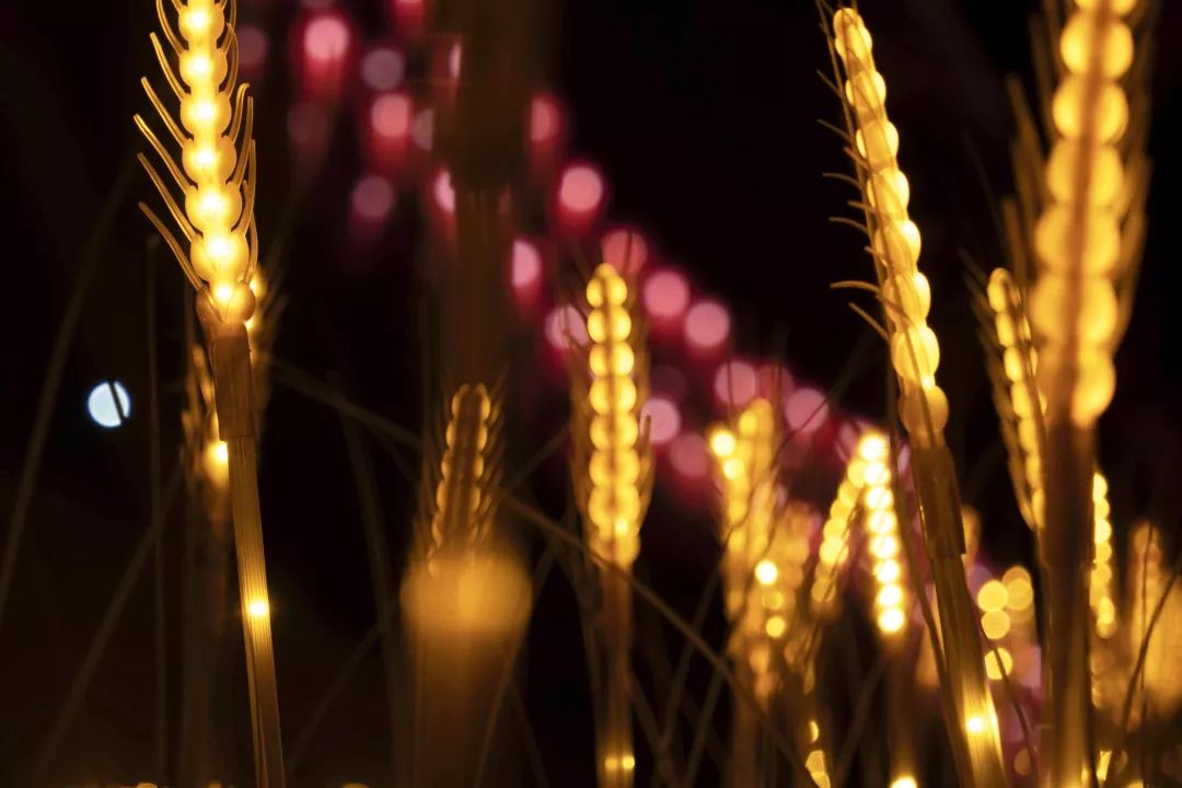 仪陇最值得去的地方,仪陇附近游玩推荐一日游