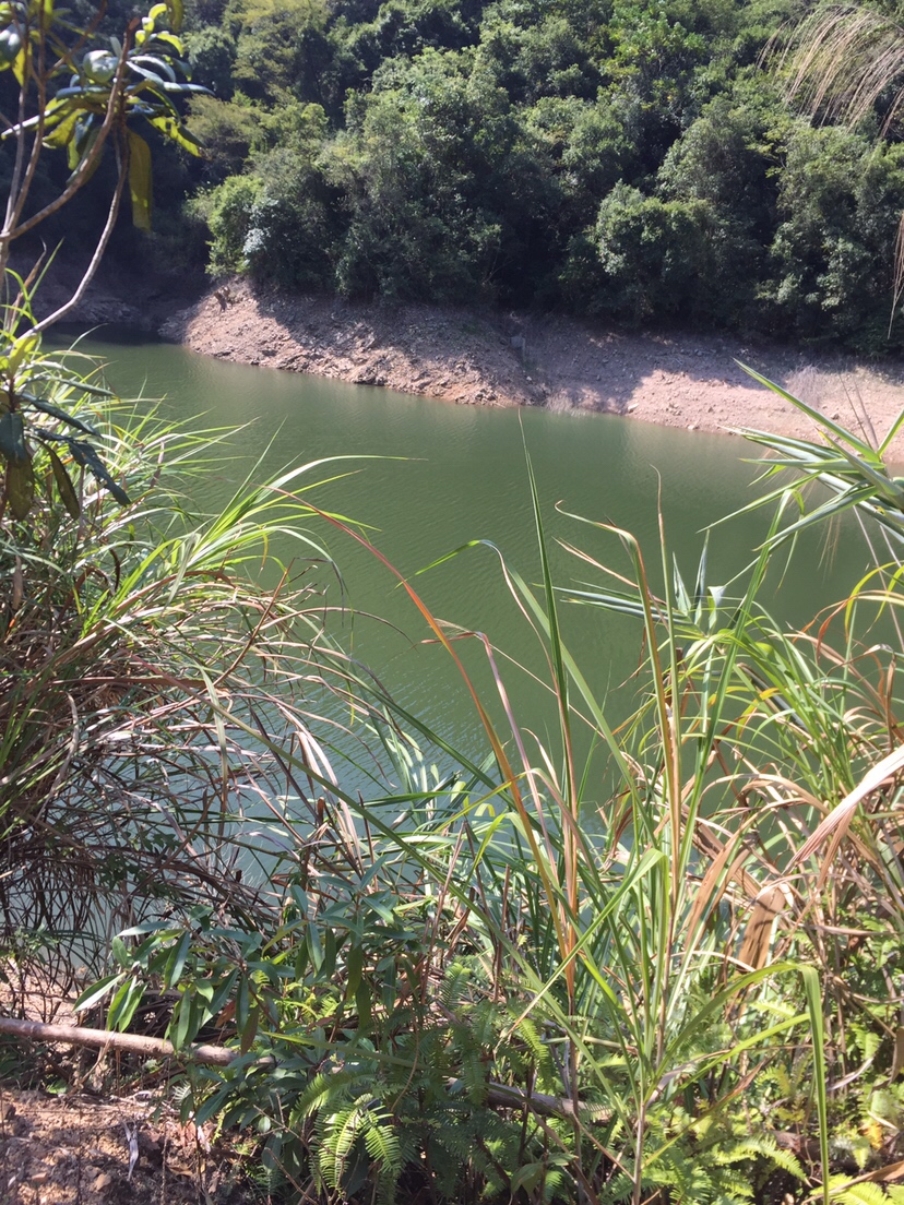 黑鱼吃东西咬得深怎么取钩,捕捉黑鱼最简单方法