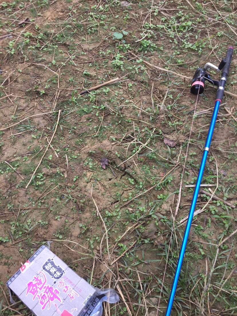 黑鱼吃东西咬得深怎么取钩,捕捉黑鱼最简单方法