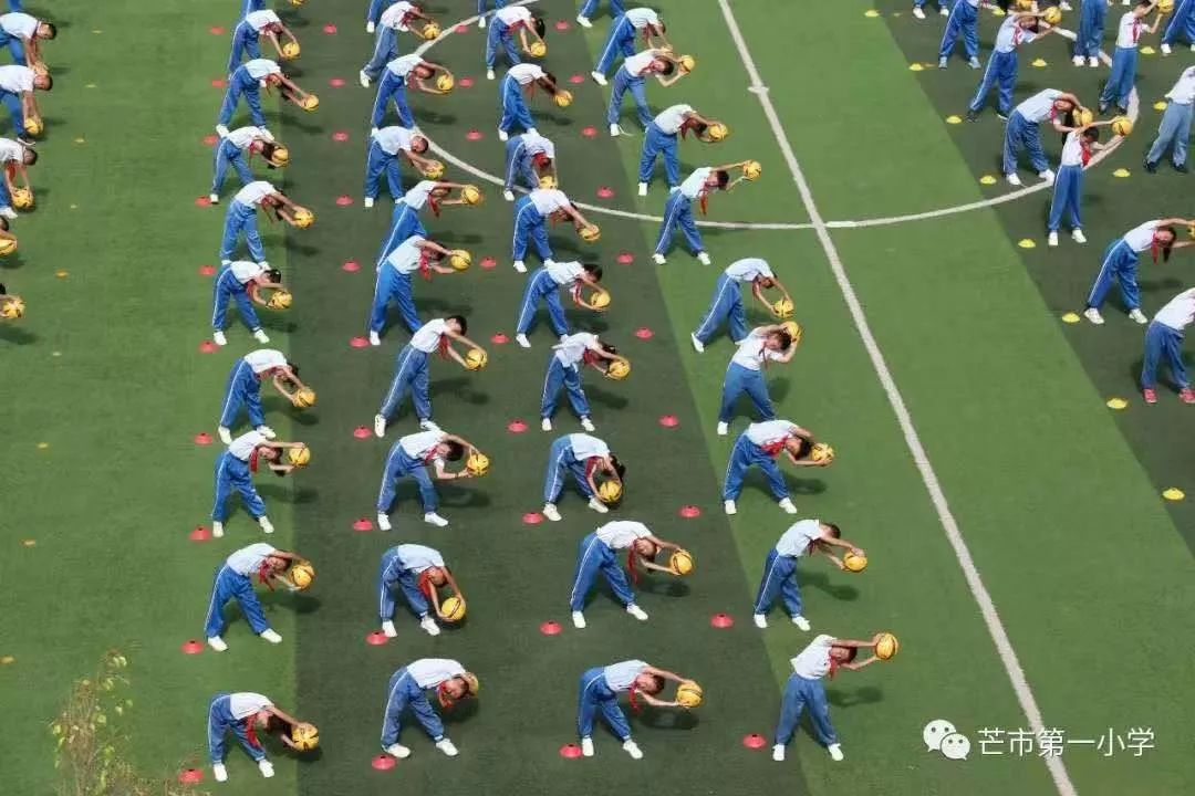 全国青少年校园足球特色学校申报,全国青少年足球特色学校申报