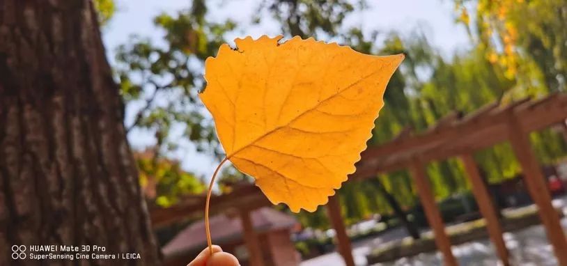 华为mate40pro和mate30pro5g,华为mate30pro5g版刷保时捷系统