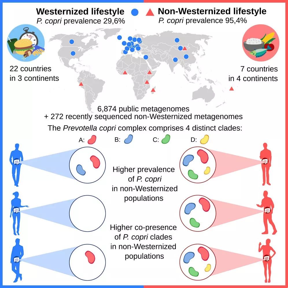 10月，33篇必读微生物研究：癌症、微生物药物、脑肠轴、皮肤-肠道轴、共生病毒、阴道微生物、菌群免疫互作、肠道黏液、粪菌移植