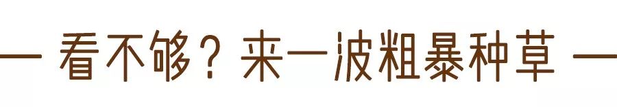 秋冬百搭女士运动鞋,啄木鸟2021秋冬韩版运动鞋