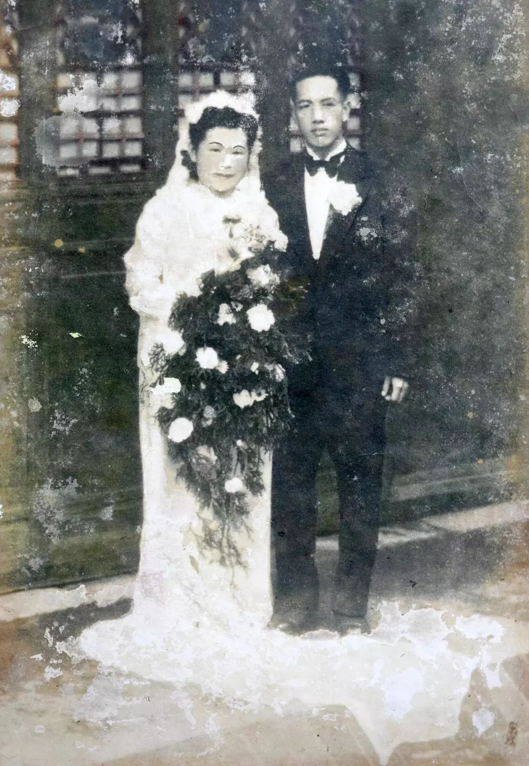 又一香港青年!考入岭大,弃文从医,成为我国兽医药理学学科奠基人