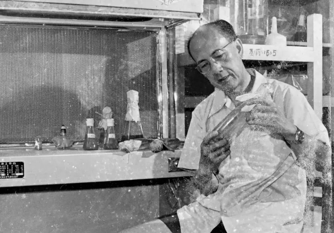 又一香港青年!考入岭大,弃文从医,成为我国兽医药理学学科奠基人